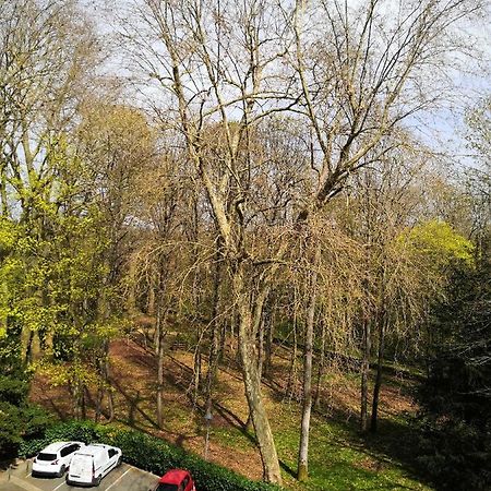 Chambre D'Hote Au Parc Des Thibaudieres Boussy-Saint-Antoine Eksteriør bilde