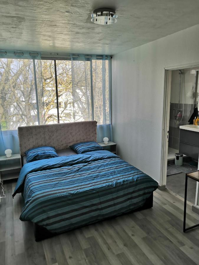 Chambre D'Hote Au Parc Des Thibaudieres Boussy-Saint-Antoine Eksteriør bilde